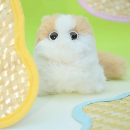 【Forbidden City Joint Series】Chai Chai-Lychee Rose Sugar