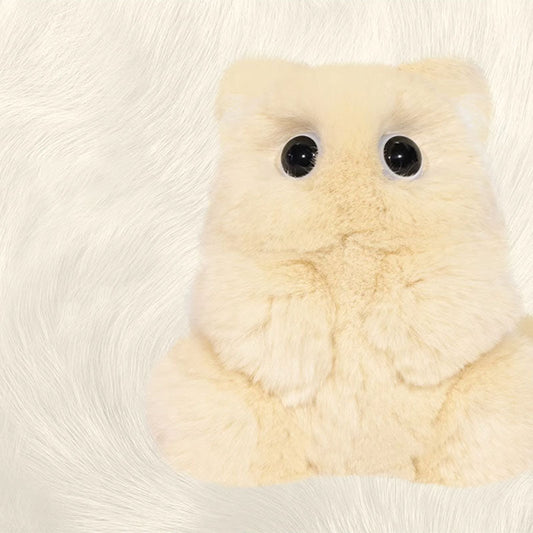 【ENFJ】5:21 P.M -Cardamom Leather